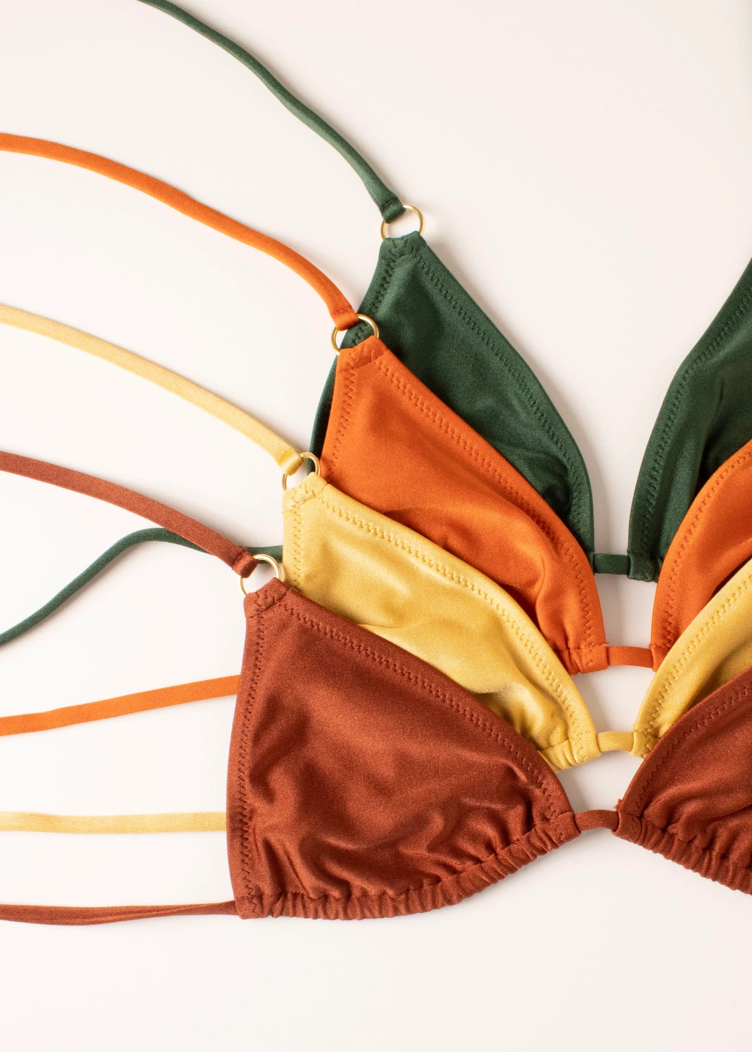 triangolino. - Helis Brain