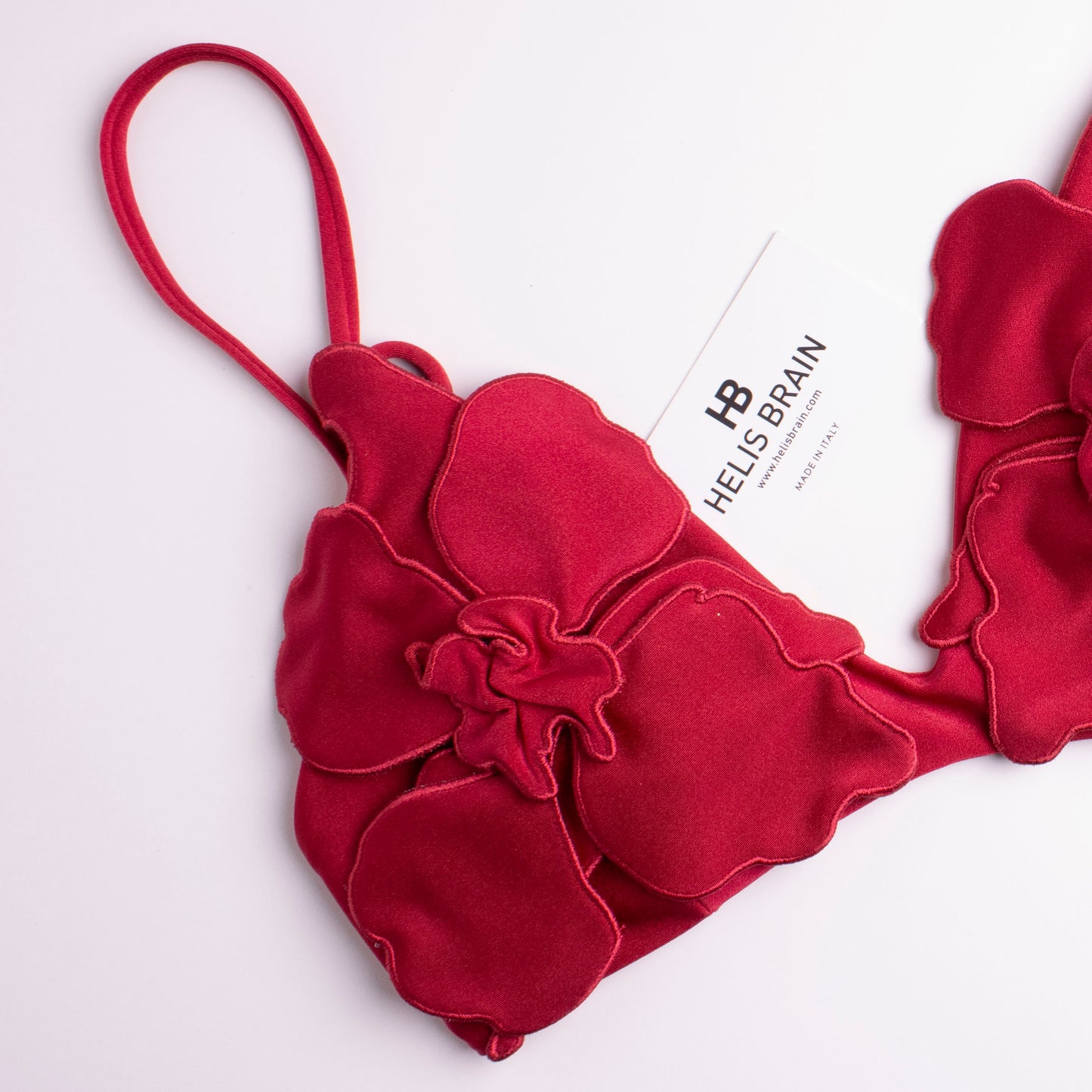 Nicaragua Hibiscus Rubino